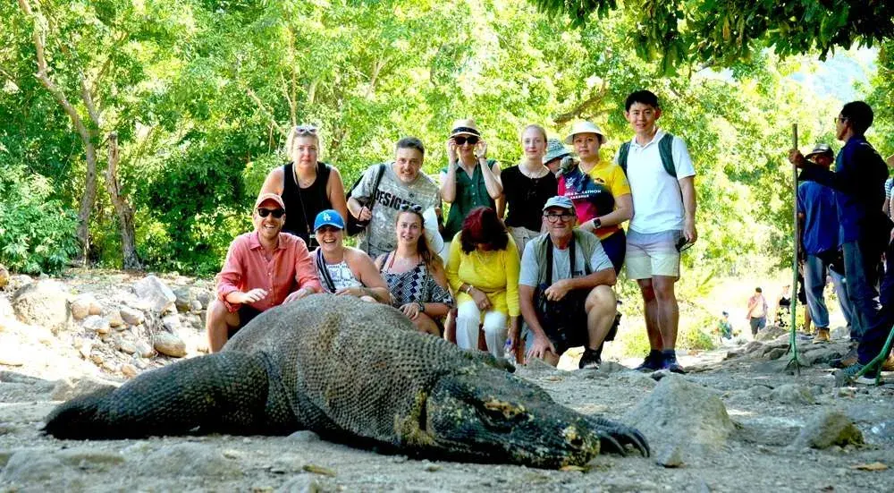 Shared Trips Komodo Island