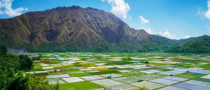 Lombok Regions Guide