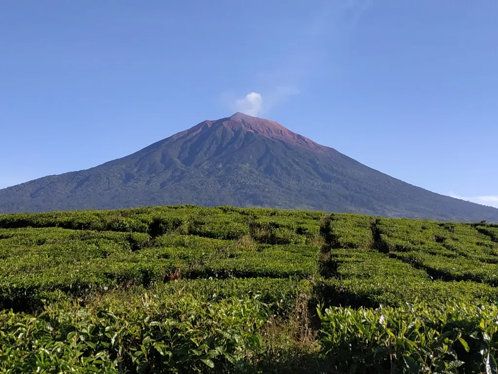 MT. Kerinci